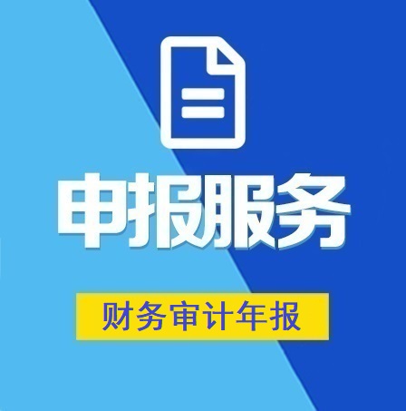 財(cái)務(wù)審計(jì)年報